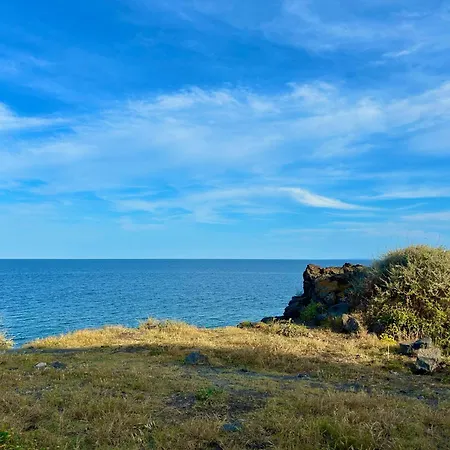 Little Rose Apartment